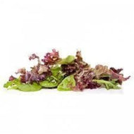 Lettuce - Mesculin Mix